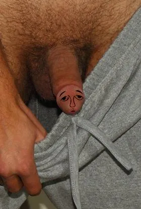 little funny cat posted by Repulsive-Muffin5722