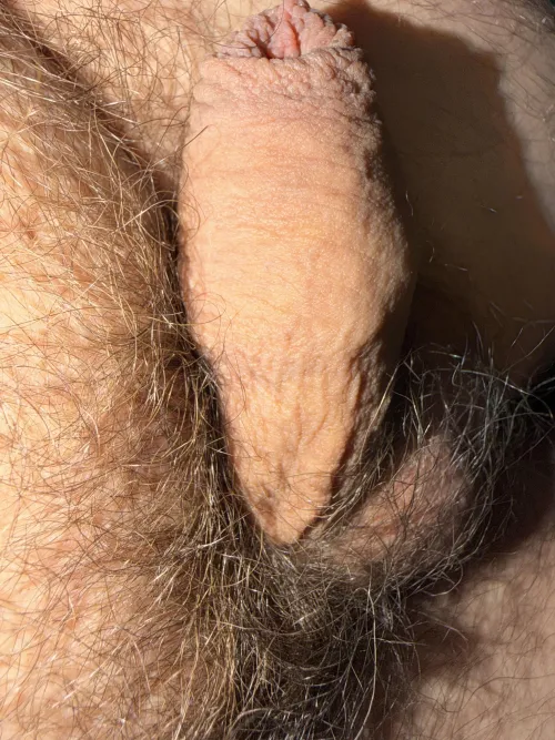 Little monster  by barias1225