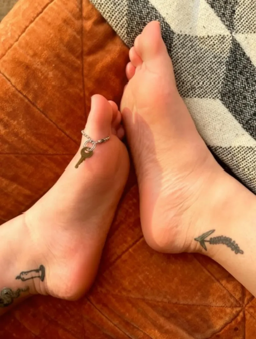 Locked up like the little chaste cuck you are. Worshipping my feet. Send to my throne for your privilege  posted by Lolalalalalalola_