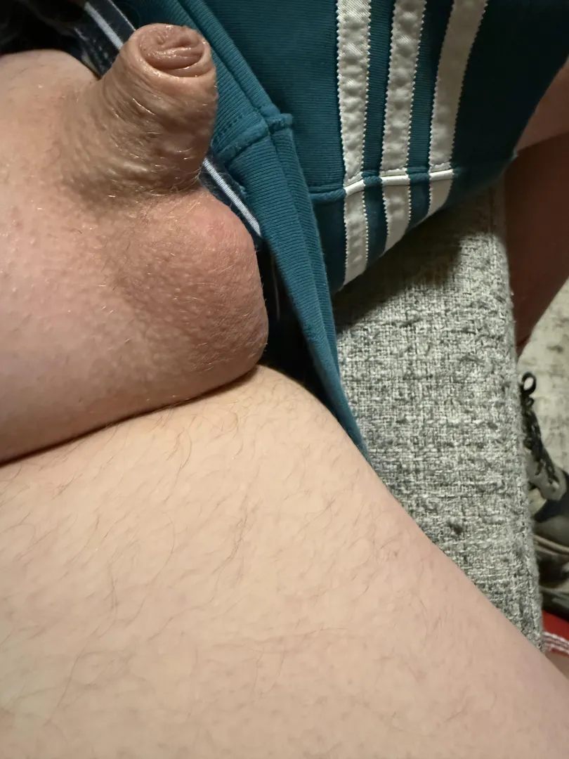 Lonely little guy posted by Miserable_Usual_4714