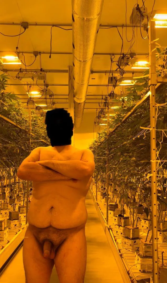 long days in the garden (m) posted by cannadude710