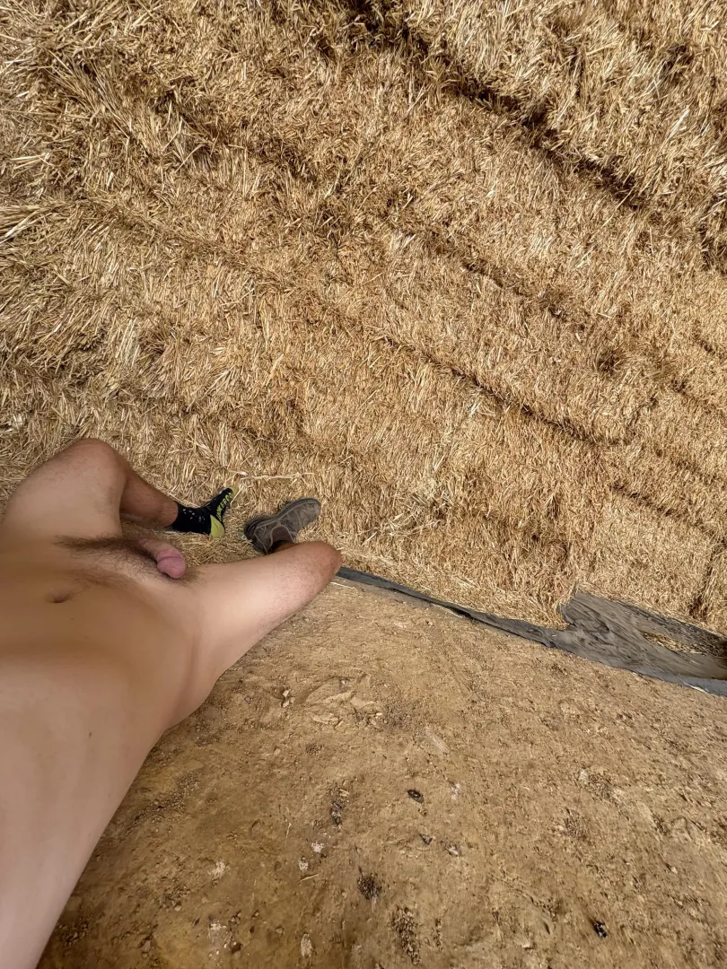 Long week. I’ll be napping in the hay shed if ya need me posted by farm-dirt-sweat-musk