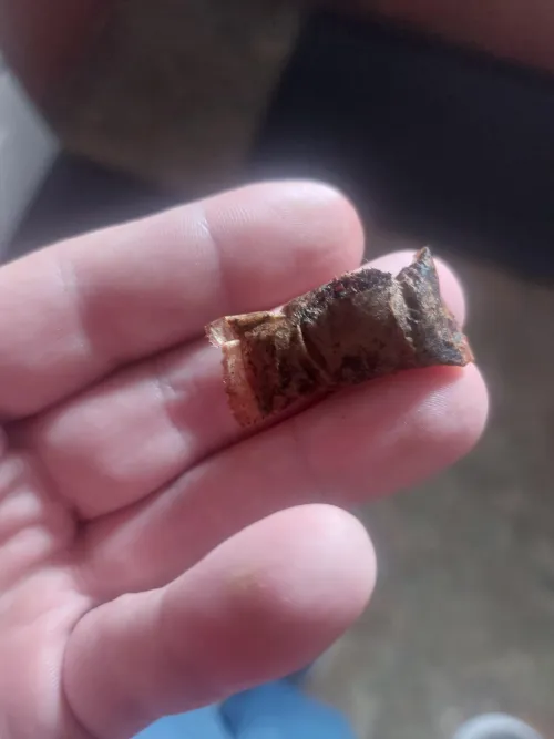 Longhorn Natural Pouches have had so many busted open, it's ridiculous. The Straight ones haven't been so bad. But, this is 4th this can. by char828