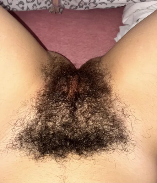 Look what a beautiful bush by tattoromi