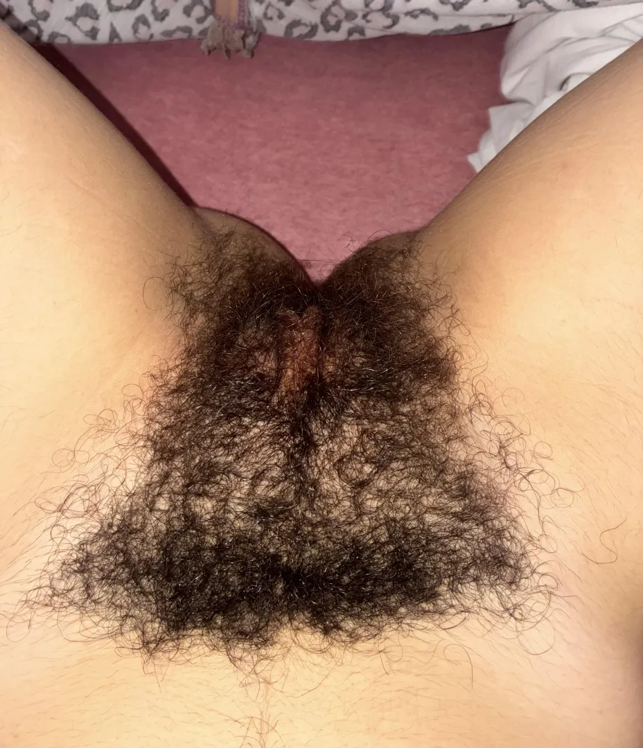 Look what a beautiful bush posted by tattoromi