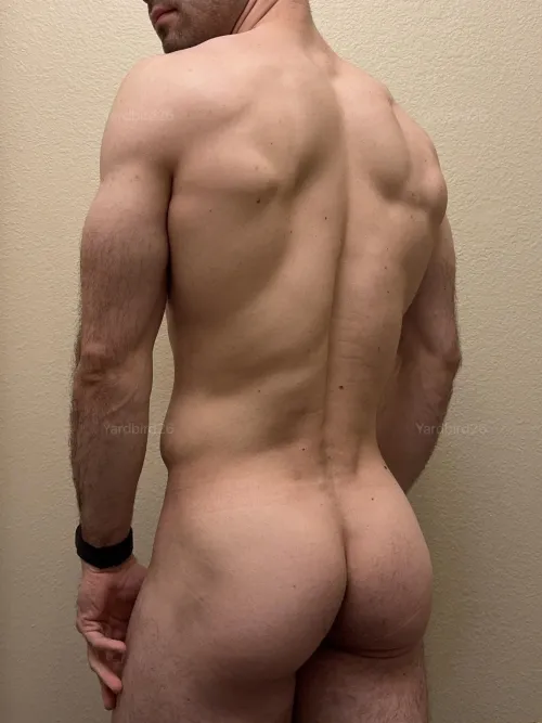 Looking back by yardbird_26