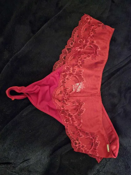 Looking for a new owner by Criminal_Lobster_AT