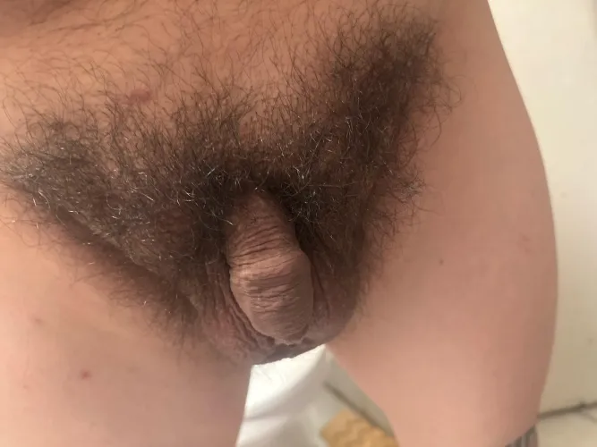 Looking for his princess by LA__Daddy