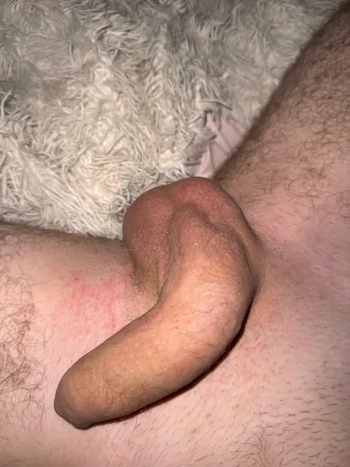 Looking if this is me soft imagine it hard dm me by Old_Worldliness1860