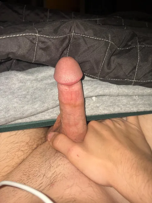 Looking to get my dick sucked m18 by annonymousm828