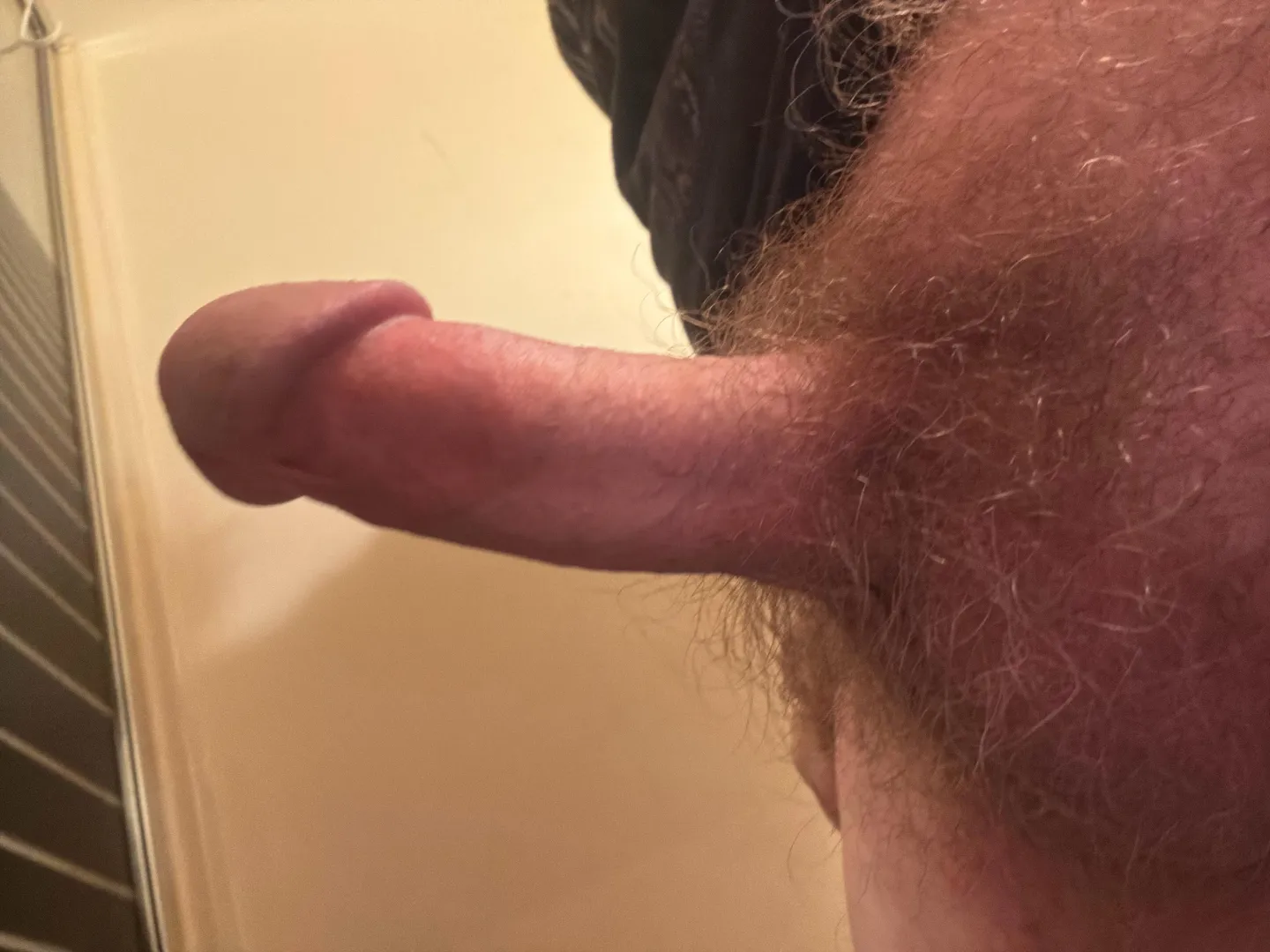 Looking to get sucked posted by Gobgibgob