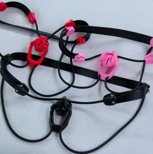 Lots of fun colors and sizes for the BetaChastity Belt by ExperienceTiny7776