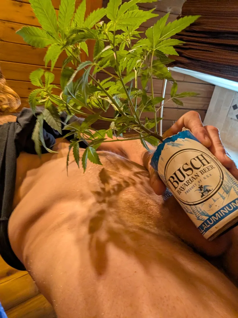 Love a good (M)omma bush posted by HushPuppie13