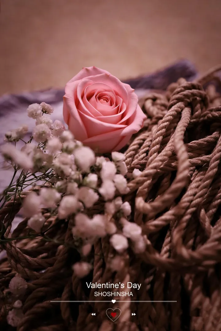 love and desire posted by shibari_riggers