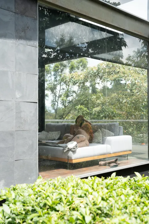 Love sunny mornings, even when they're super cold by alejayvt