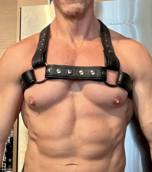 Love the way a leather harness frames my nips. by GeekyMuscley