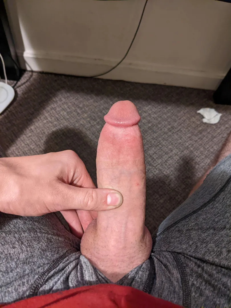 Loyalty is just a word posted by JAWs_1985