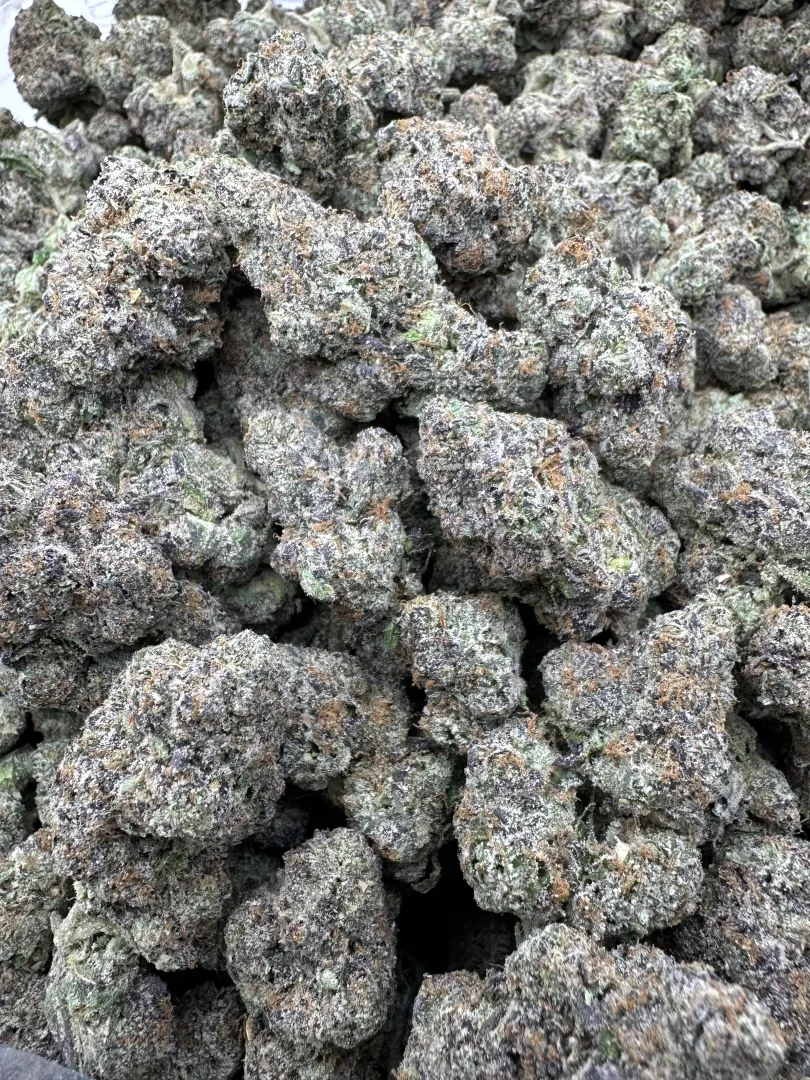 LZG posted by gassyguyy