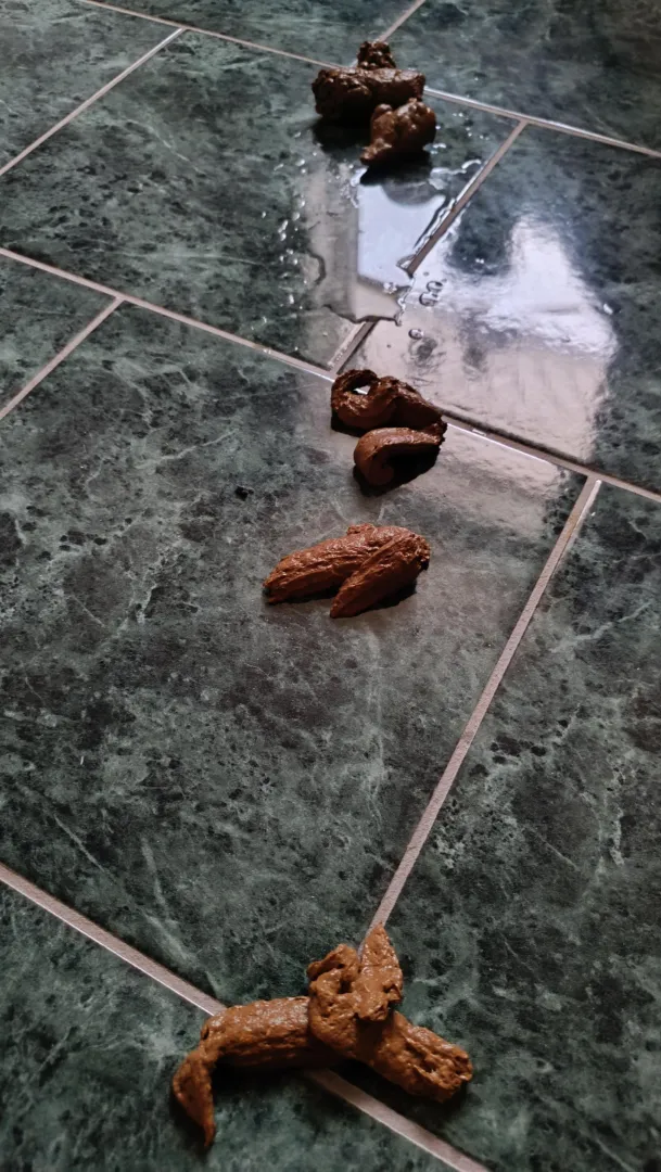 M 18 posted by Jazzlike-Bake-7107