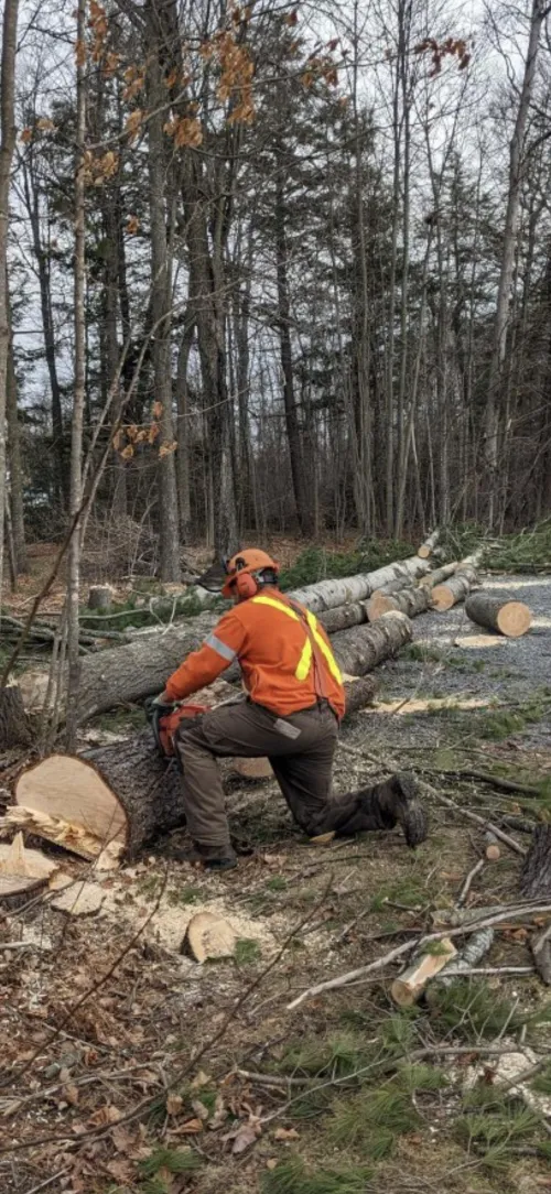 M 4 A, mature, sane, fit, and clean. by bullforrent