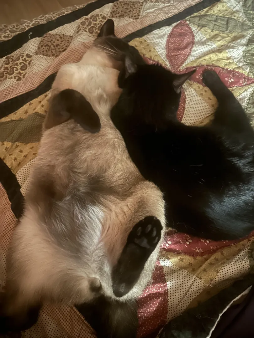 [m] and [f] after snuggles posted by CutePizzaFairy