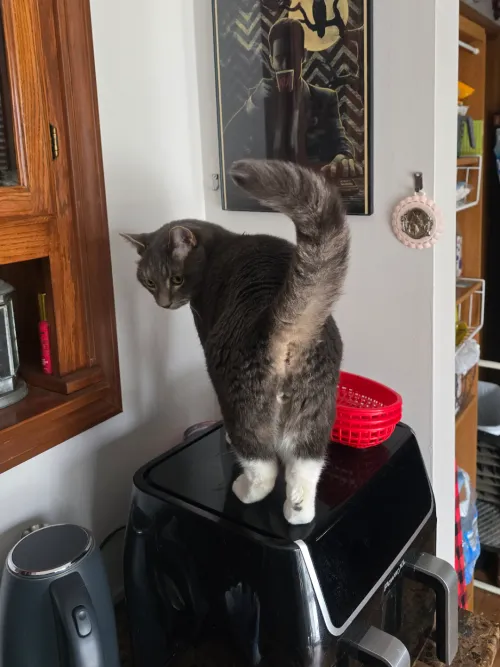 [M] Coy over the shoulder gaze by NegativeBra1n