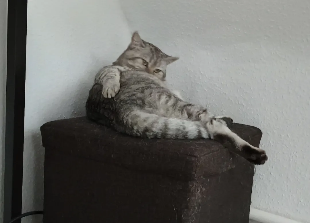 [m] Two minutes into netflix & chill and he gives you this look. What do you do? posted by [deleted]