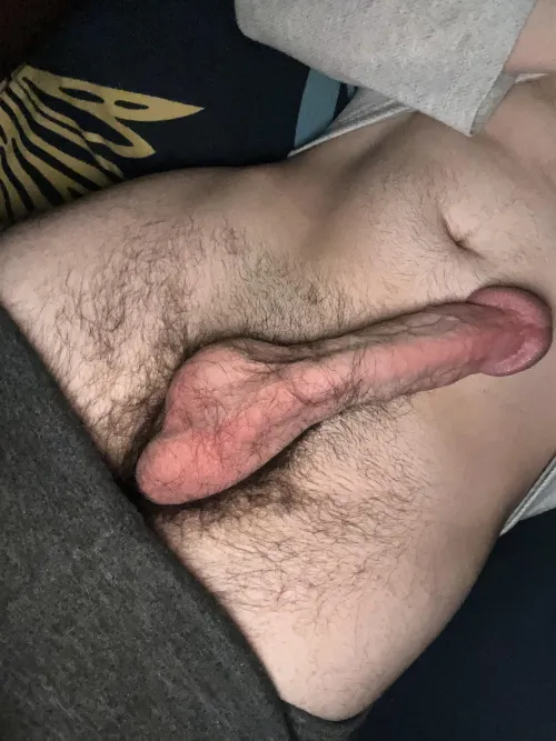 [m] who need bull by Federal_Kiwi1590