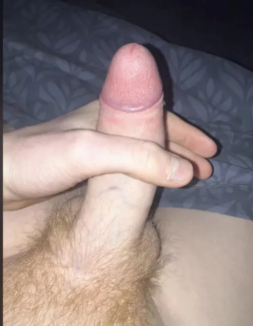 M18 Køge by Alternative-Wind2157