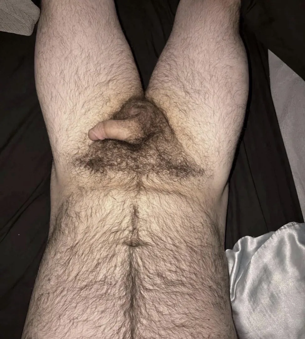 M22. Looking for a hairy white masc bro to jerk and cum with. Country+ blue collar+ frat+ jocks+ bush+ face+ vidcall+ musk+ long term+ USA+ kinky+ verbal+ roleplay+ fit (not required but a plus) snap: henry_j2085 posted by fuzzy_bear2342