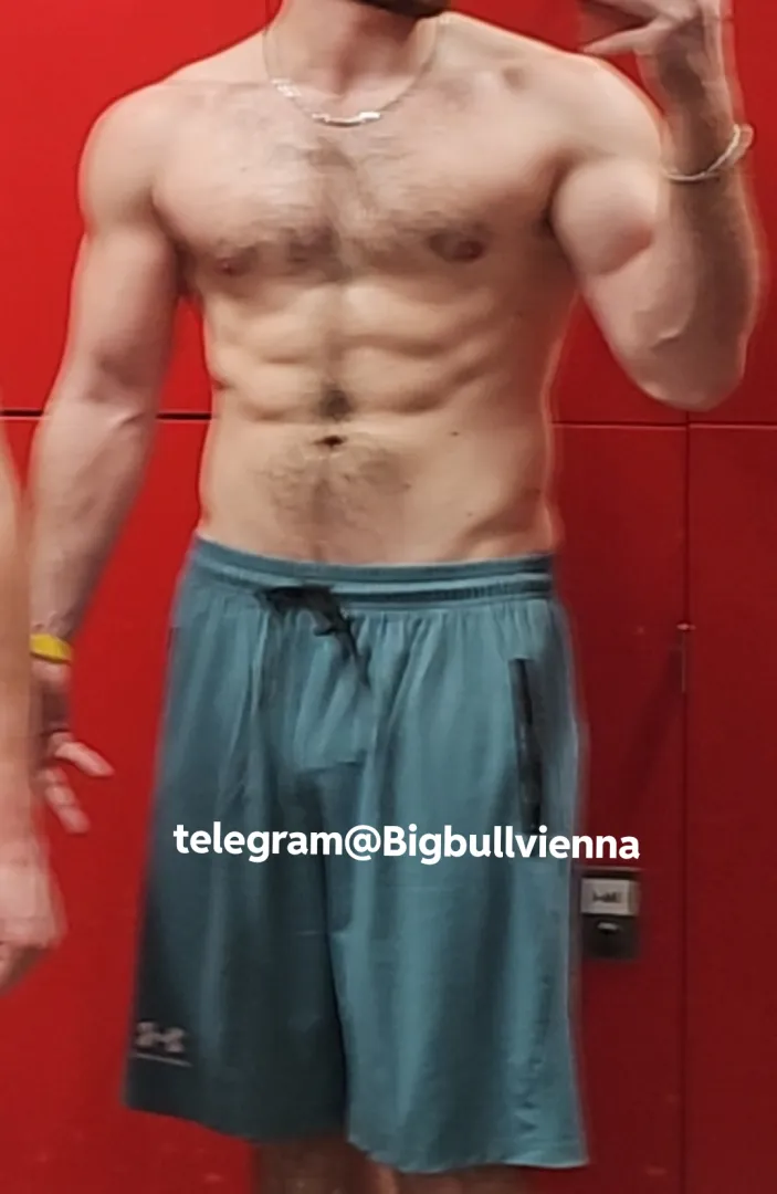 M25 20cm Bull Vienna  posted by bigbullvienna26
