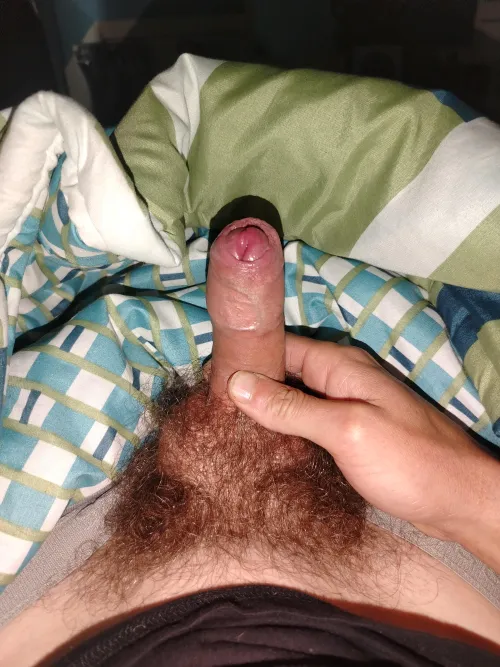 M27 looking for white Female in Roodepoort by Scared_Parfait3252