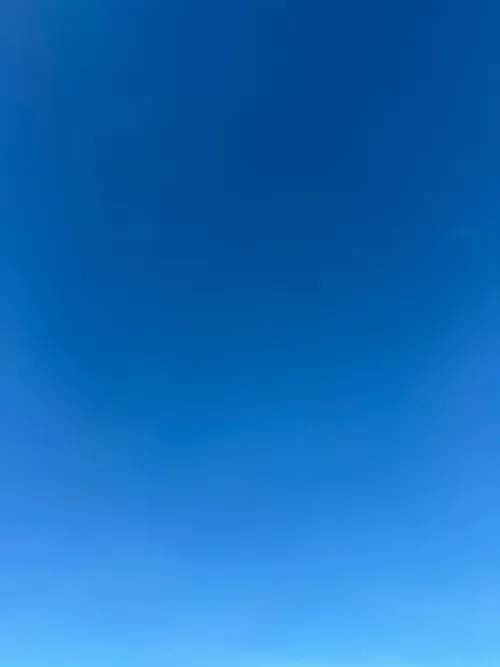 M32 F27 looking for bi bull by Ok_Oil_9829