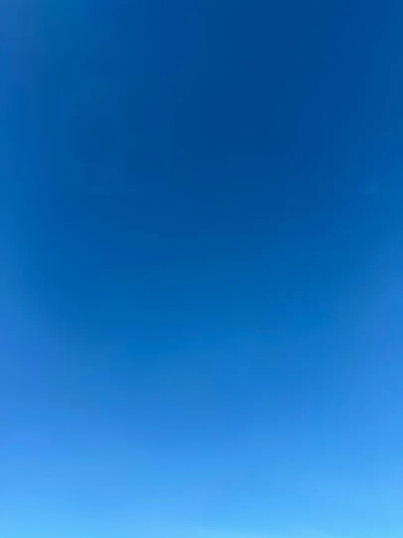 M32 F27 looking for bi bull posted by Ok_Oil_9829