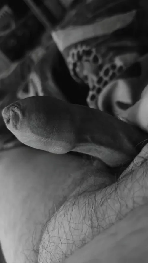 M33 by The_Flying_Dustman