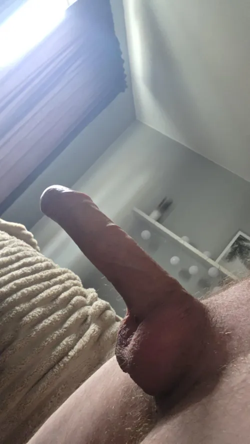 M33 Shouldn't be standing like this by the window by Successful-Glove2379