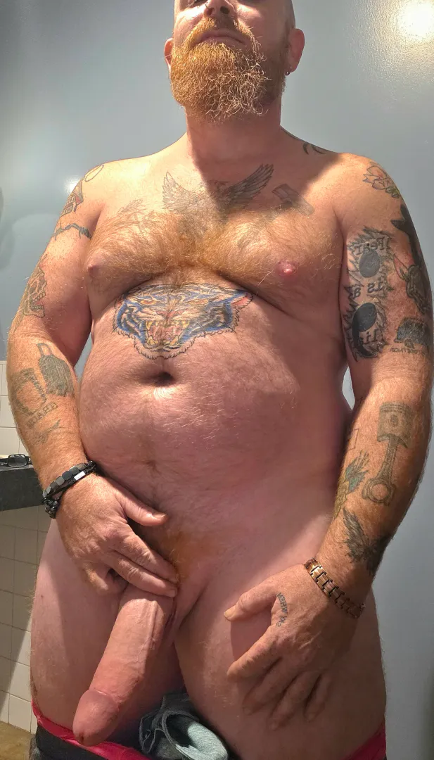 M45 Bull looking for playmates. posted by texcentricasshole