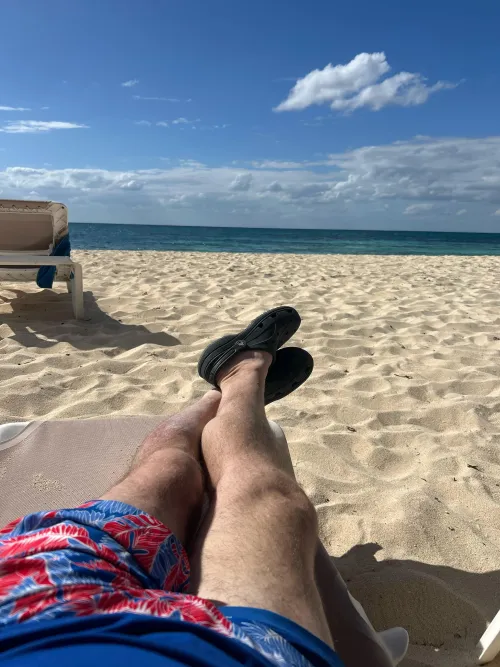 [M4A] Regal Princess - now by prman2002