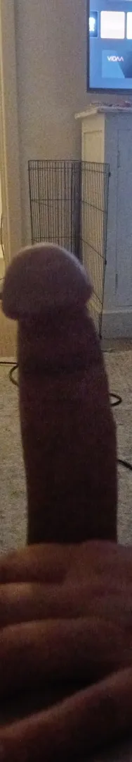 M4F  30yr old male , looking to meet with a lovely lady NOR posted by gunnboi