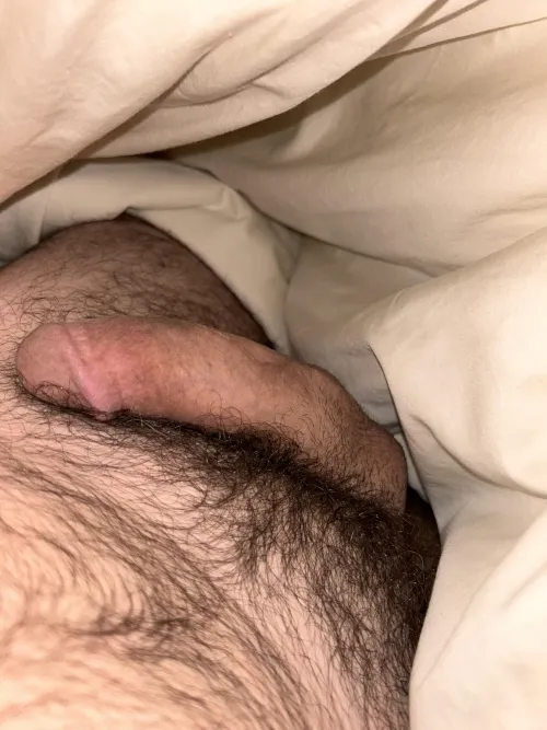 [m4f] 48 Dilf dick just hits different. by Correct_Jackfruit530