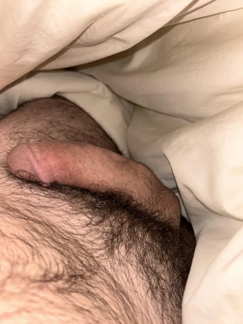 [m4f] 48 Dilf dick just hits different. posted by Correct_Jackfruit530
