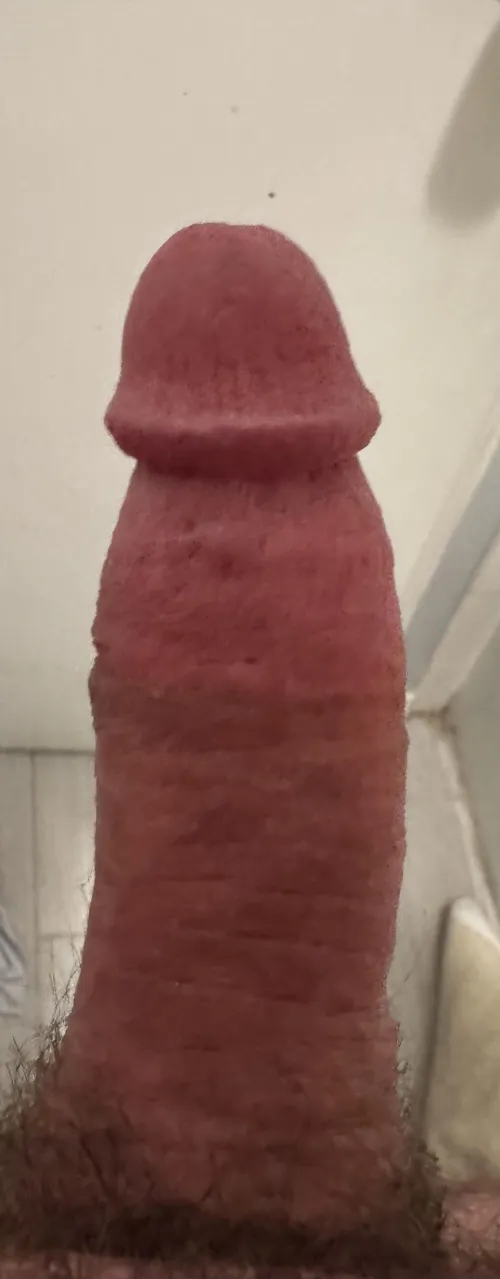 M4F ALBUQUERQUE by Street-Lab6201