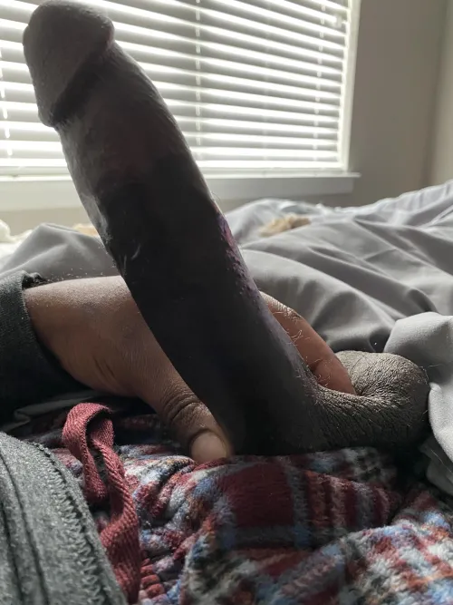 M4F M4MF Hung BBC make hosting in Round Rock tonight!  by [deleted]