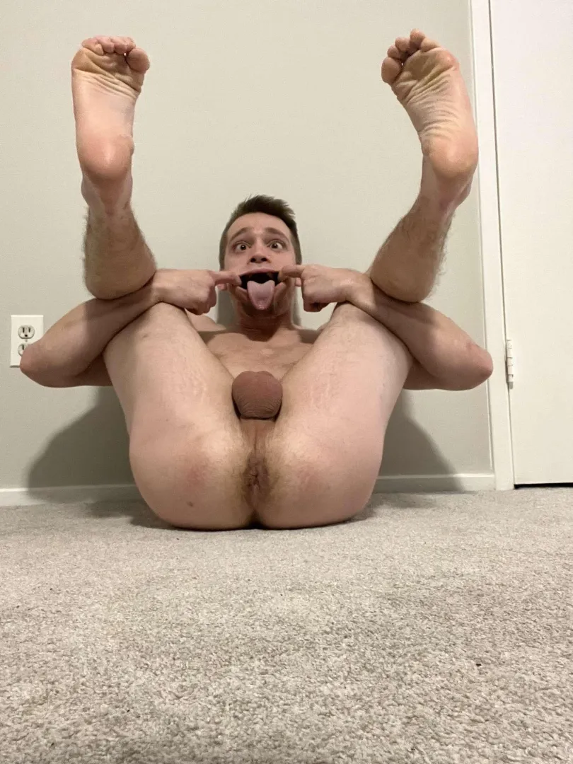 Make me humiliate myself further than this for the entire internet to see ‍‍ posted by AlphaEztek