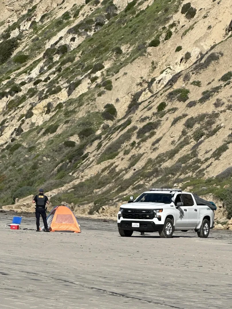 Make sure you’re aware of your surroundings posted by DonDalbergia