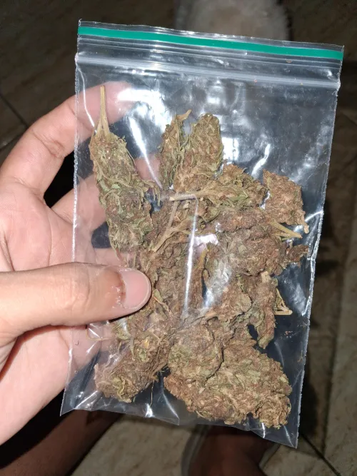 Manga rosa 12g by PCSKTT