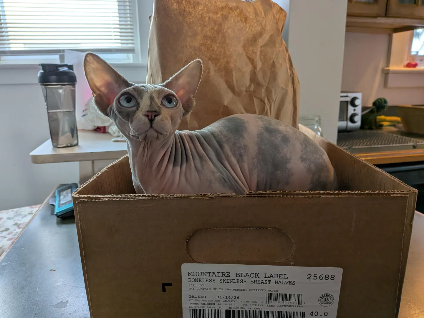 Marlena Monday posted by conkledonkle2