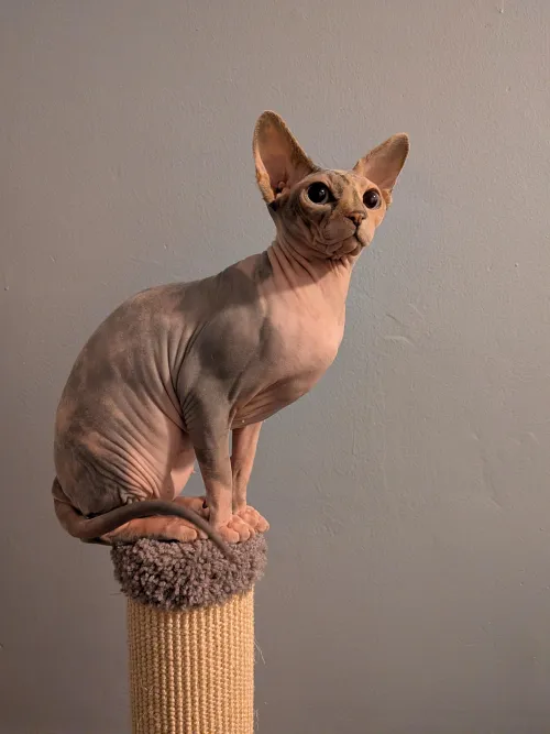 Marlena Monday by conkledonkle2