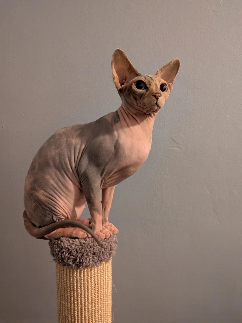 Marlena Monday posted by conkledonkle2