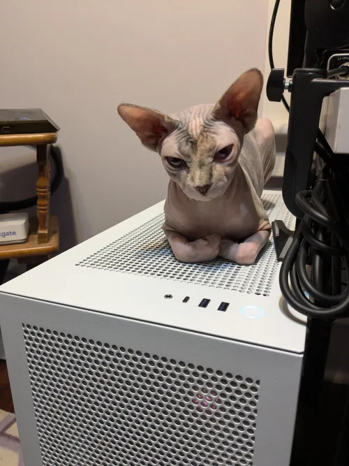 Marlena Monday - PC edition by conkledonkle2